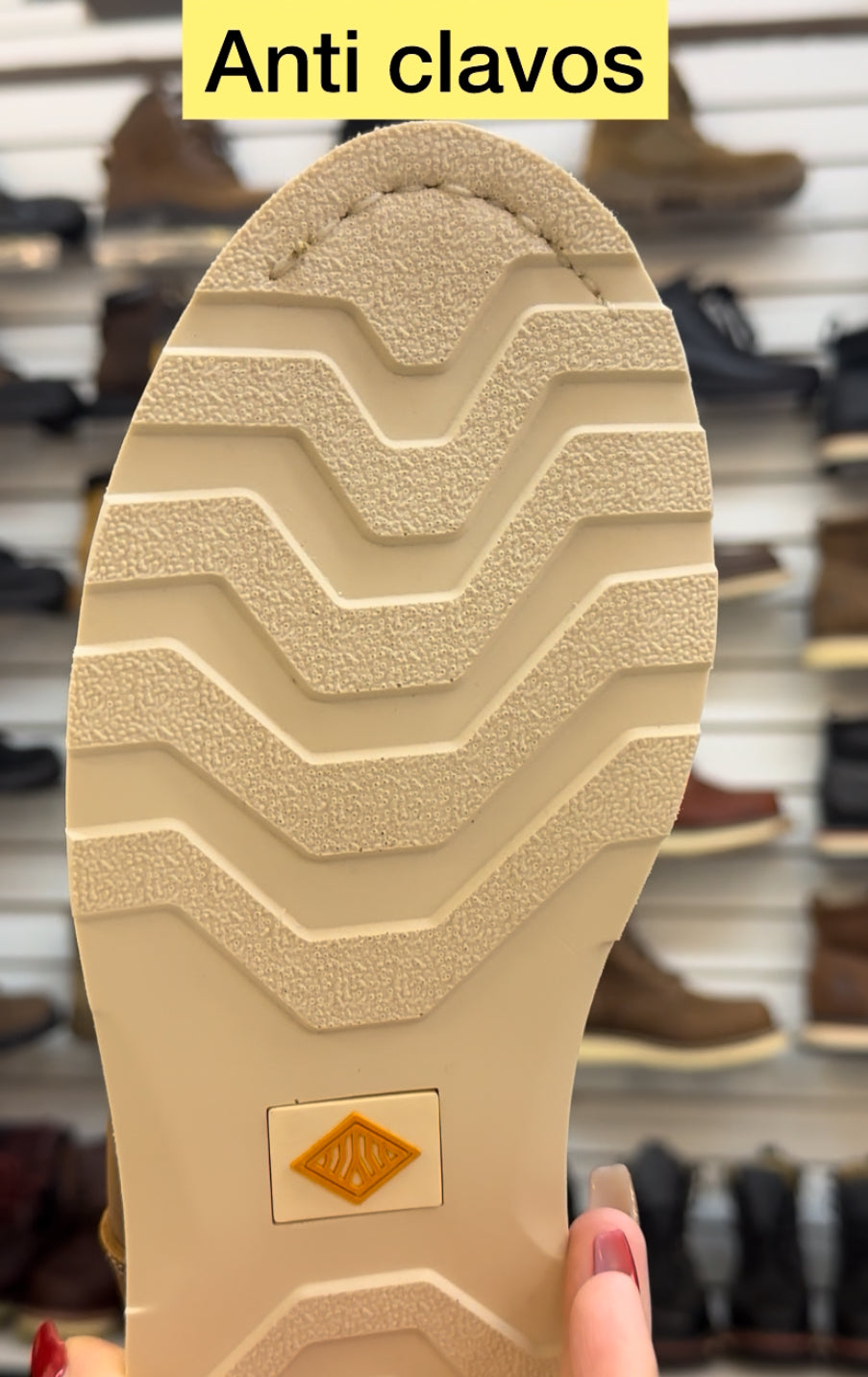 Botines Chelsea Unisex