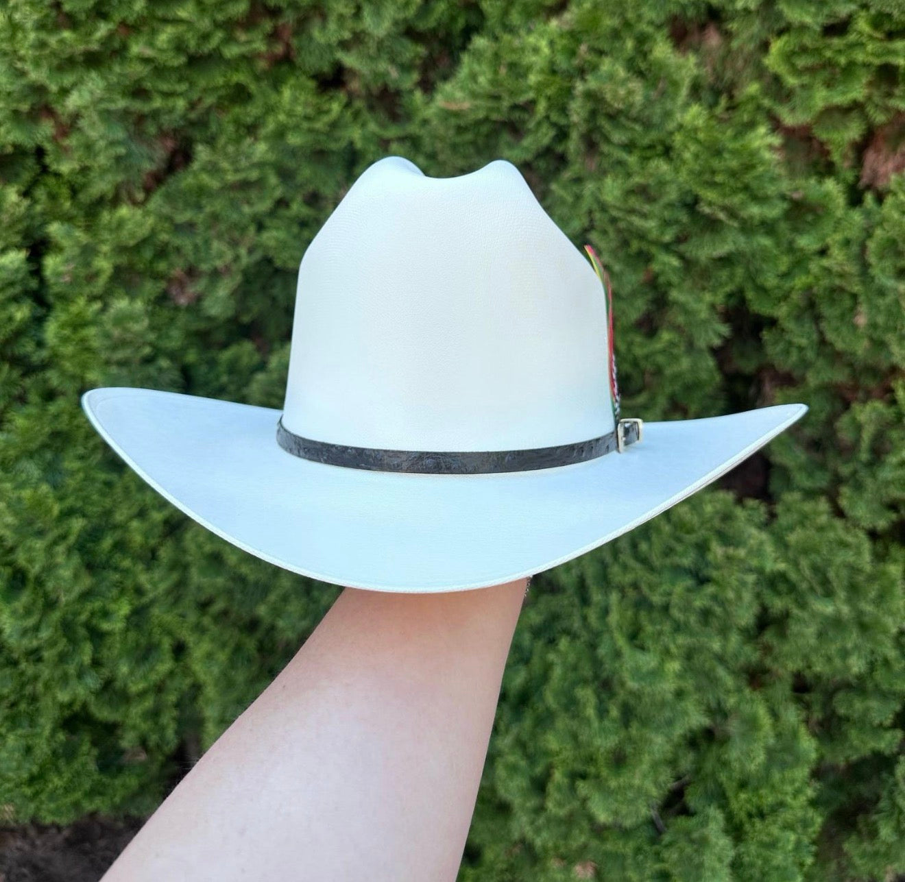 Master Telar Sombrero Cowboy Hat