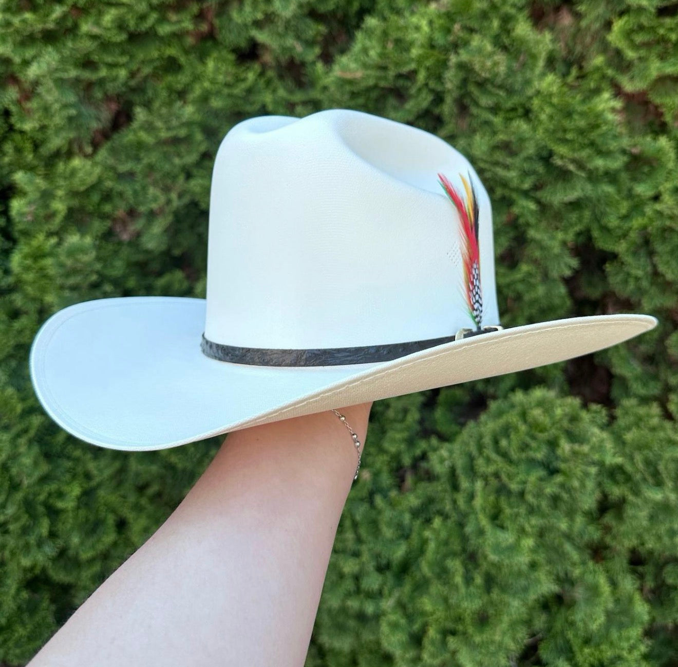 Master Telar Sombrero Cowboy Hat